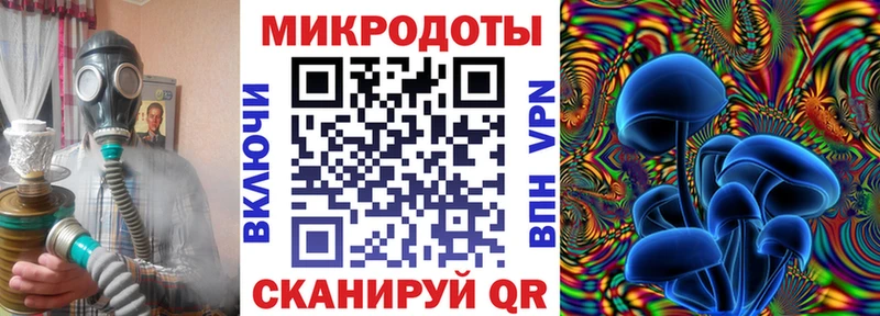 Псилоцибиновые грибы Psilocybine cubensis  Купить где  Пионерский 